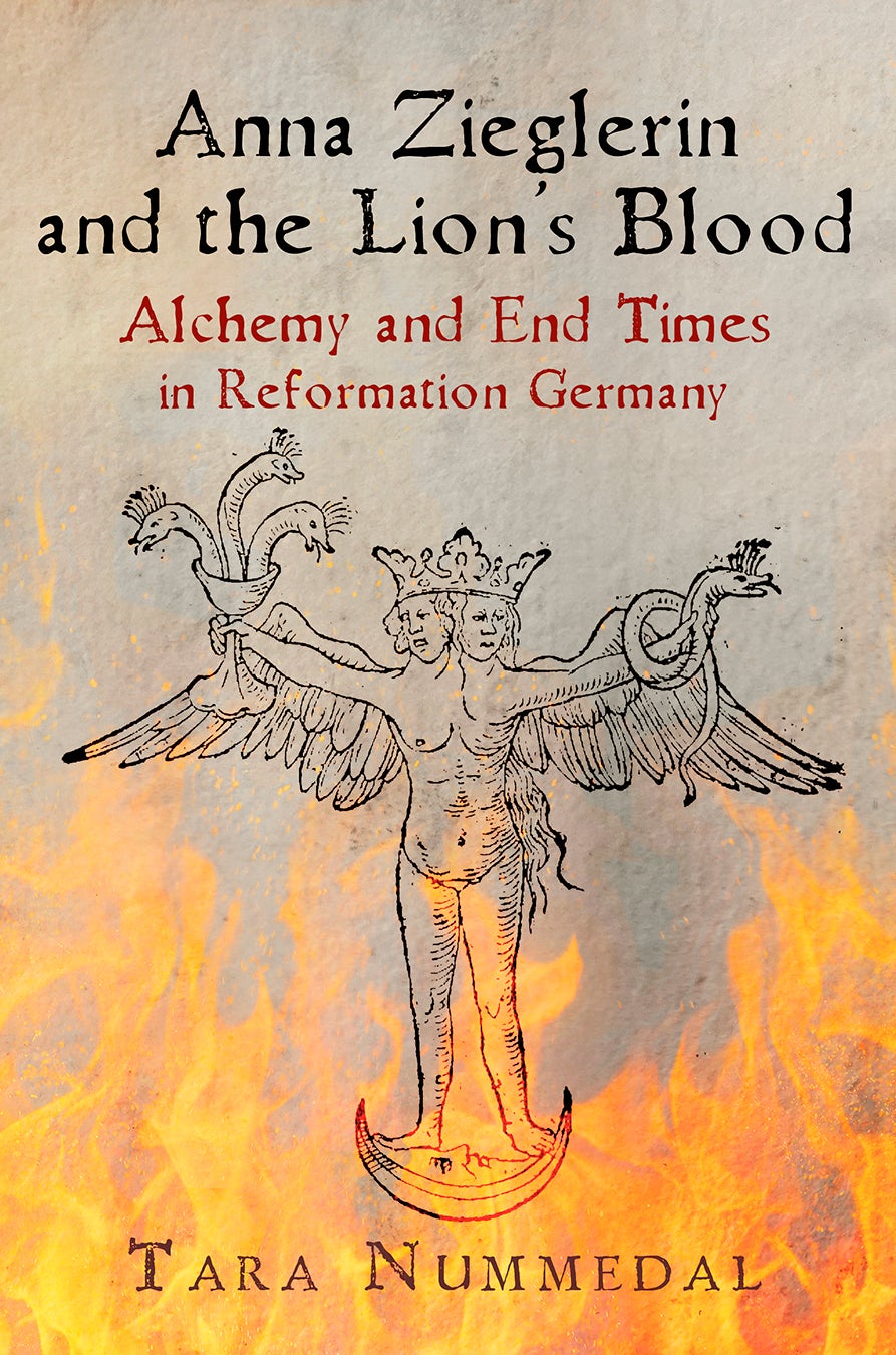 Book cover image for Anna Zieglerin and the Lion's Blood ISBN: 9780812295931